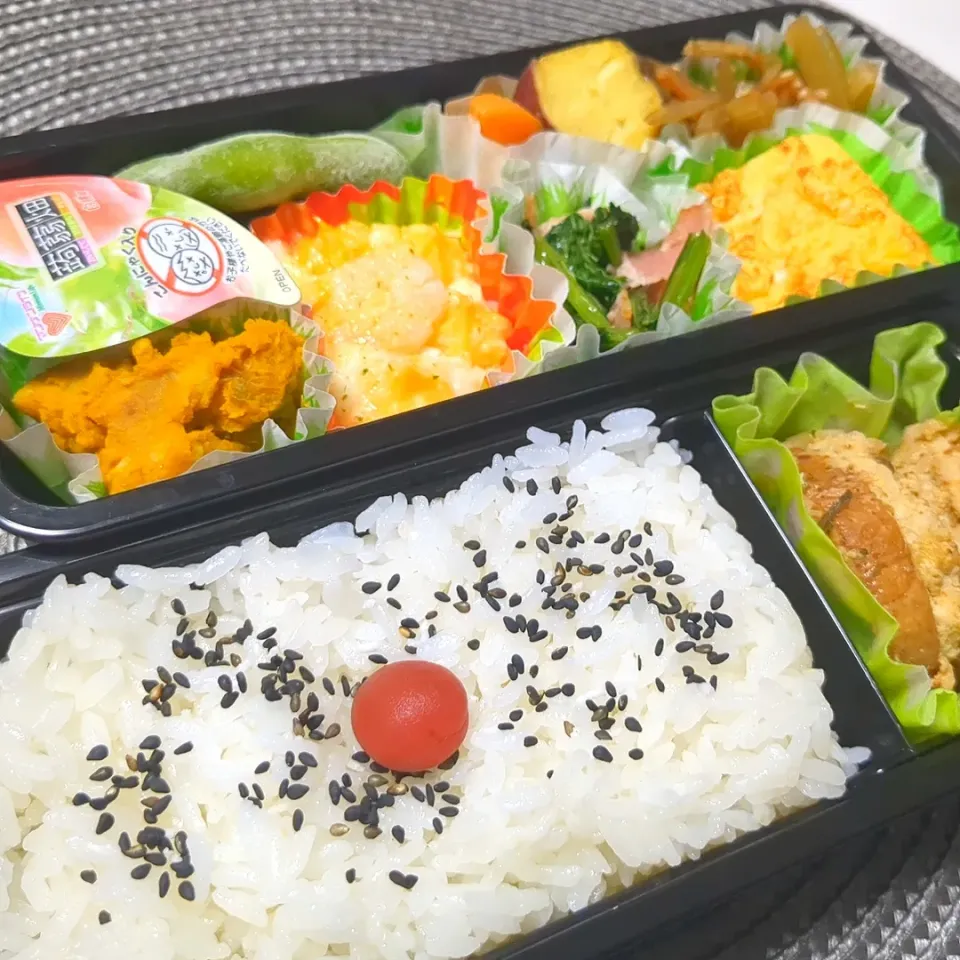 8月9日お弁当|鈴木さとしさん