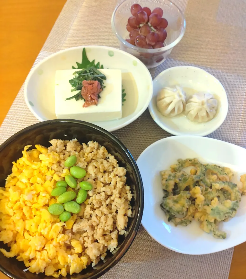 Snapdishの料理写真:☆そぼろ丼
☆ゴーヤ天ぷら
☆小籠包
☆冷奴
☆ぶどう|chikakoさん