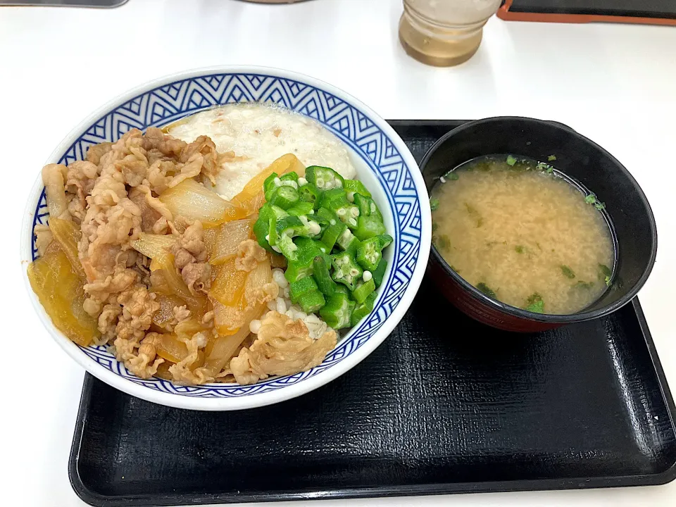 牛麦とろ丼|しのぶさん