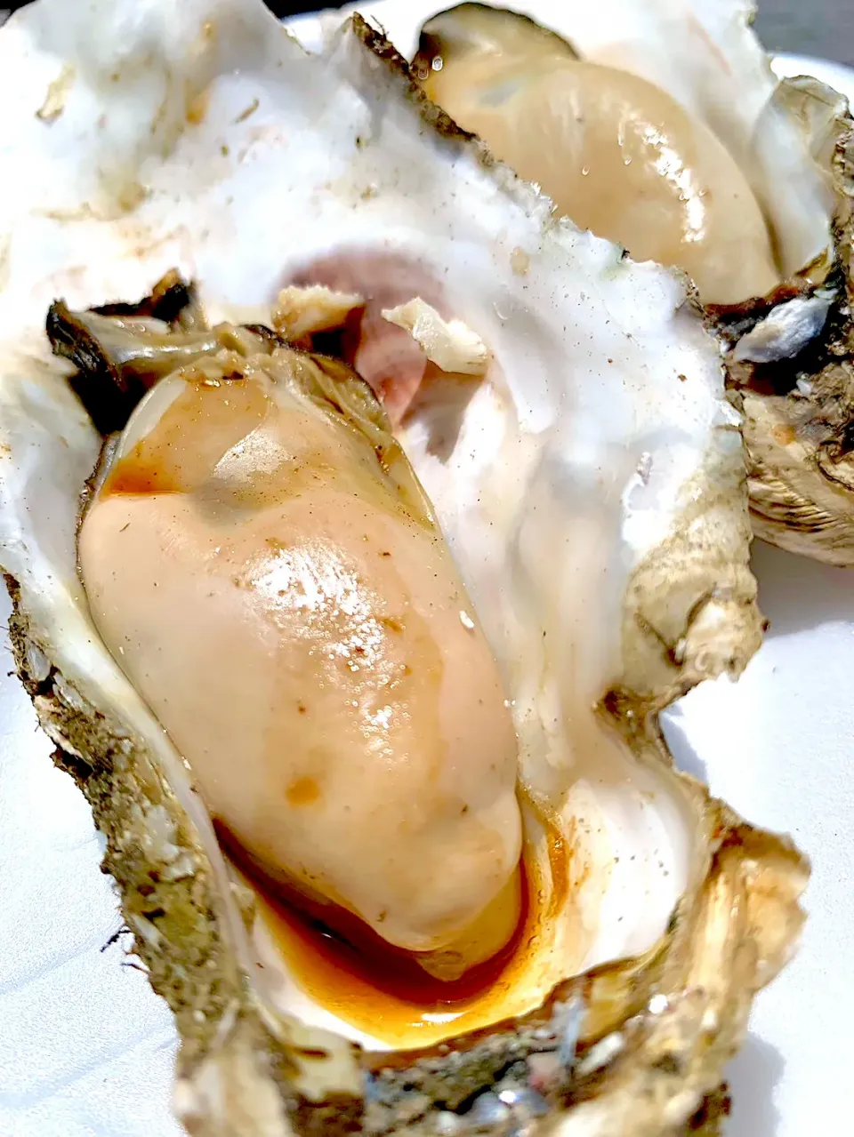 Snapdishの料理写真:Grilled Oysters on the Half Shell|gonbenさん