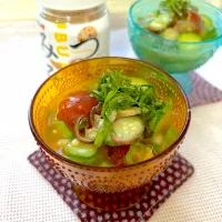 夏野菜の冷たい味噌汁|さちっぺさん