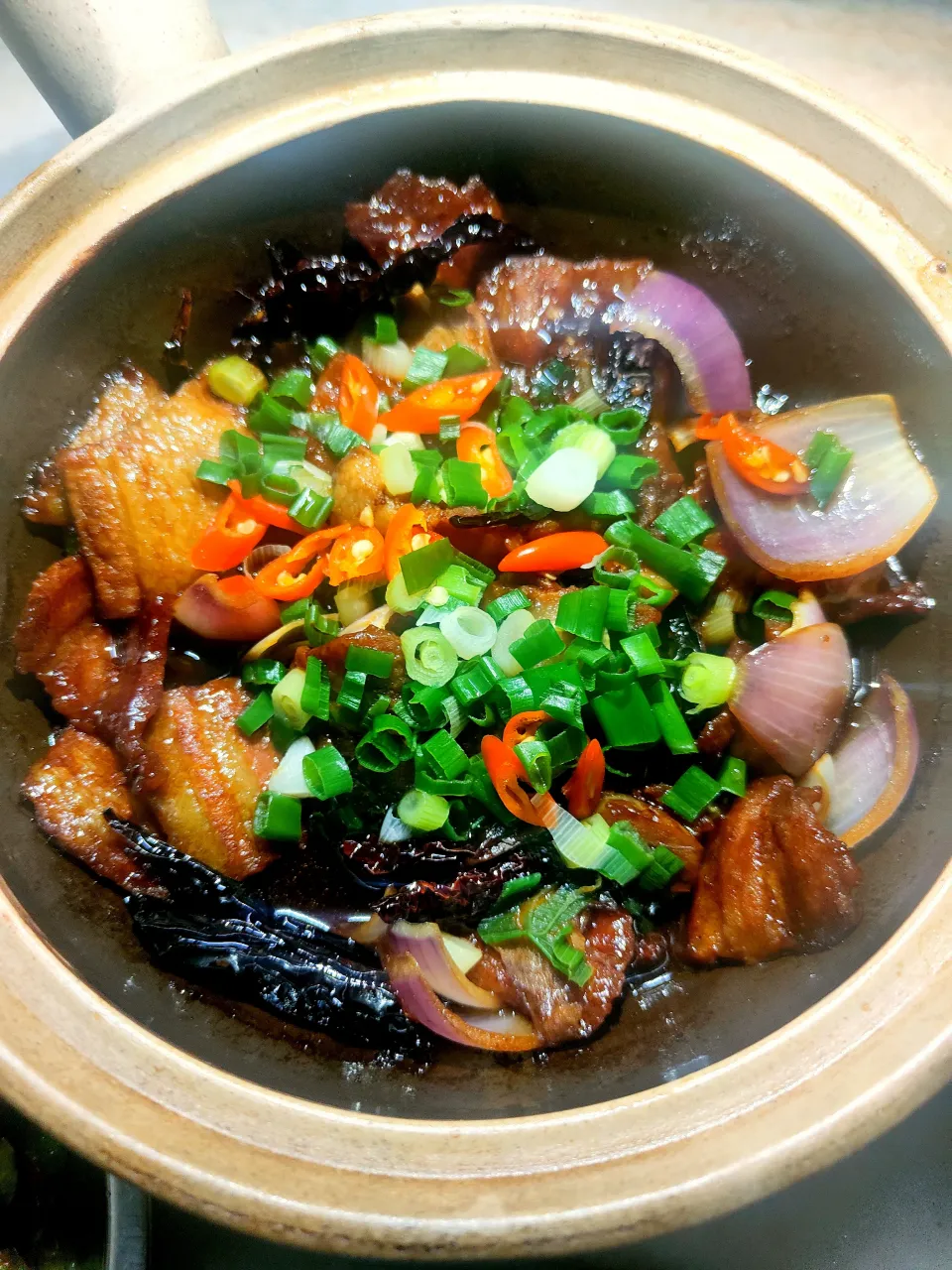 Pot Braised Pork Belly with Salted Fish|kellymyliana_tew@yahoo.com.sgさん