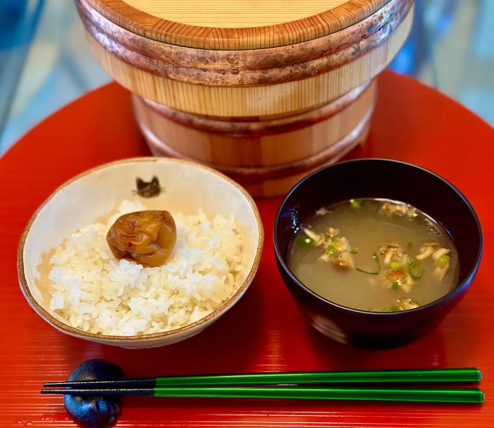 今日一日の糧🍚|にゃあ（芸名）さん