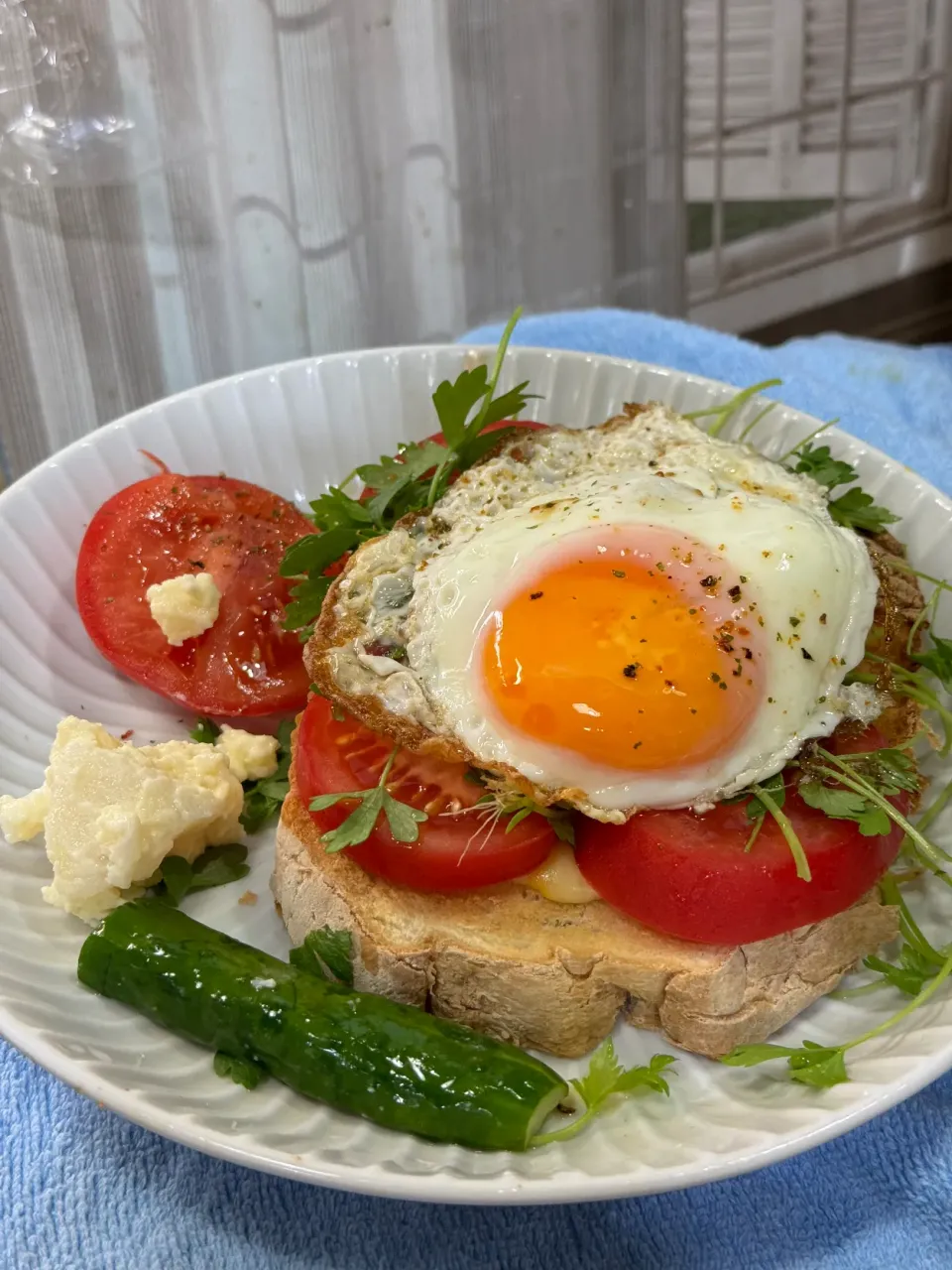 サラダセロリ🥗サンド|🐧ペンギン2さん