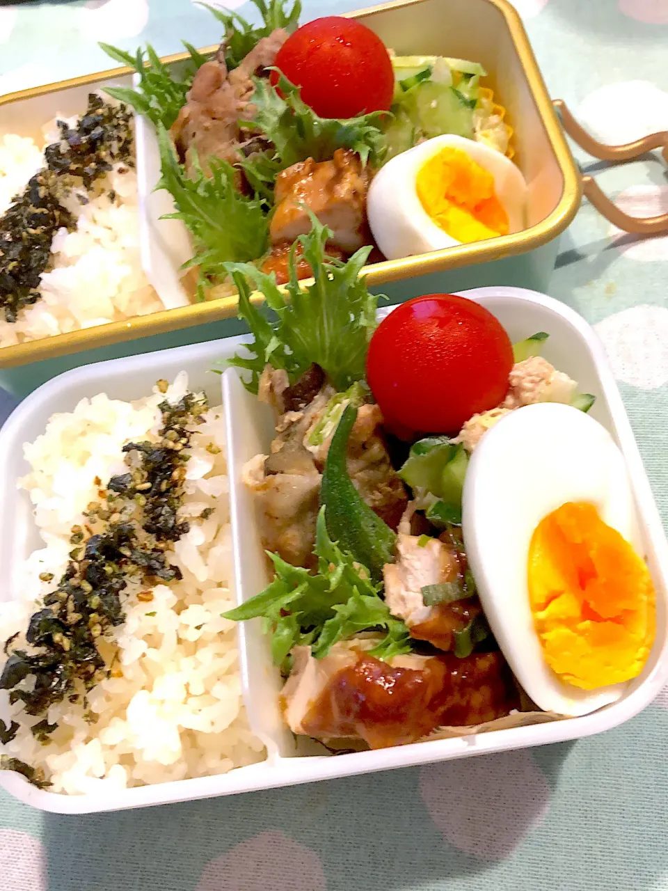 Snapdishの料理写真:2024.8.13  ＊今日のお弁当＊なすとおくらの肉巻き♪♪|rinrin*mama*さん