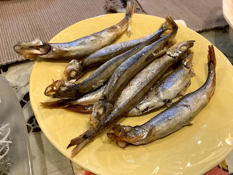 ししゃもさん🐟😋|アライさんさん