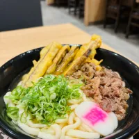 Snapdishの料理写真:肉ごぼううどん（ネギ多め）|manmoさん