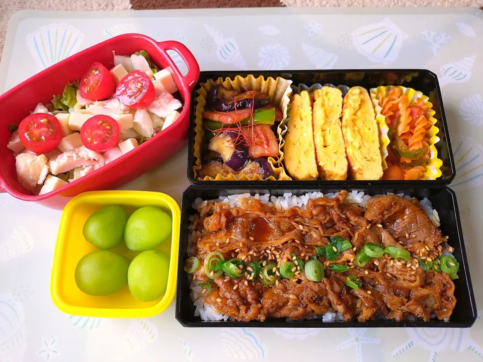 🍀2024/0814(水)
カルビ丼弁当

大学生息子クン帰省中
日雇いバイト行くって言うから
張り切ってお弁当♪
楽しく良い経験ができますように💫|ともちんさん