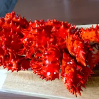 花咲ガニ