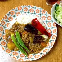 Snapdishの料理写真:俺の夏野菜カレー|Take Cさん