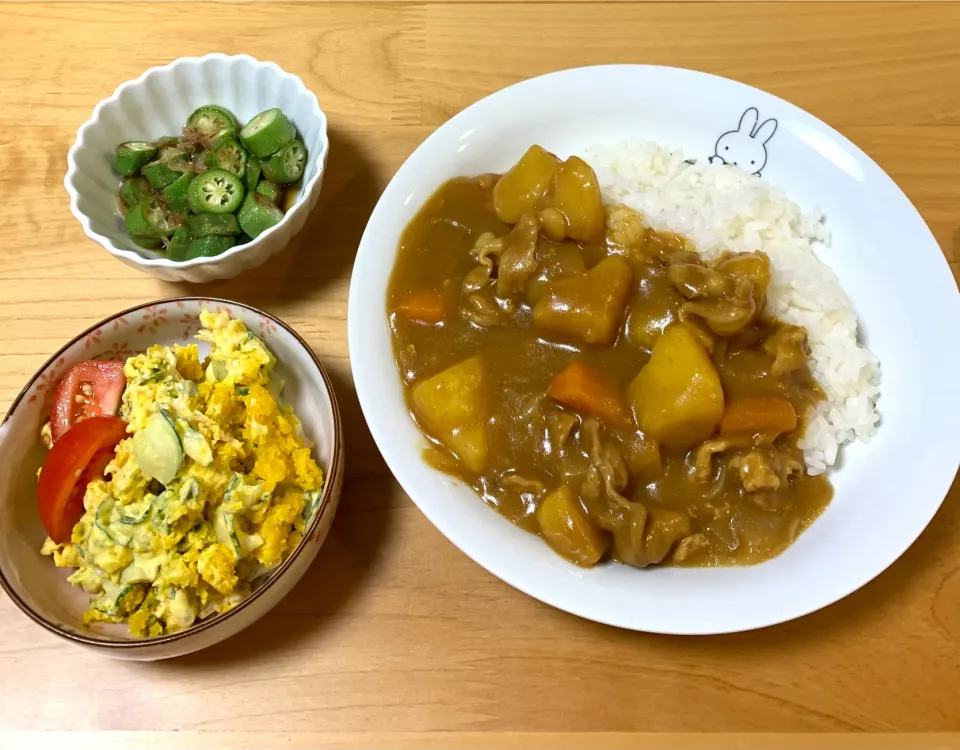 今日のよるごはん＊|みかんさん