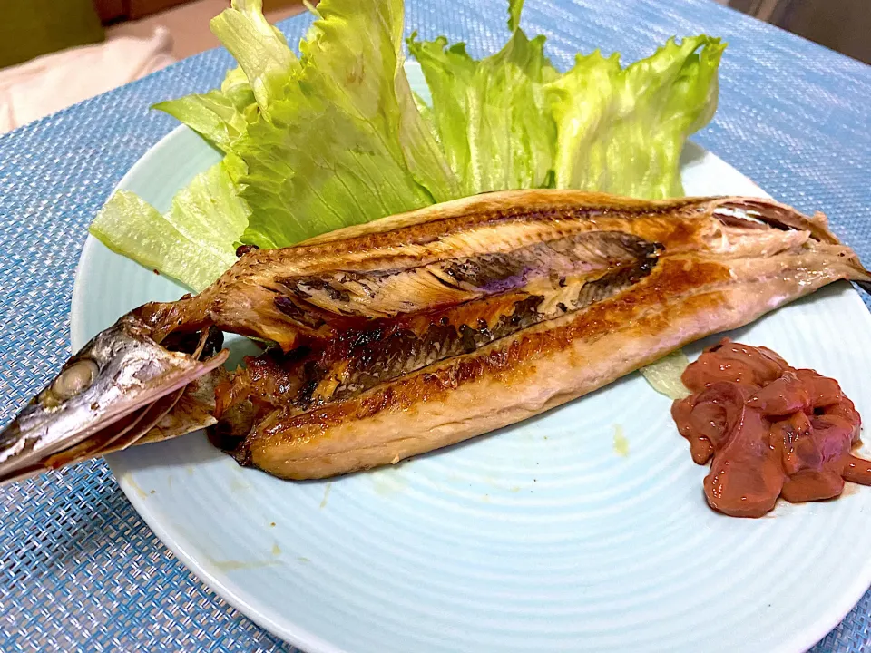 秋を先取り⭐︎秋刀魚の干物➕イカ塩辛|単身赴任のっちさん