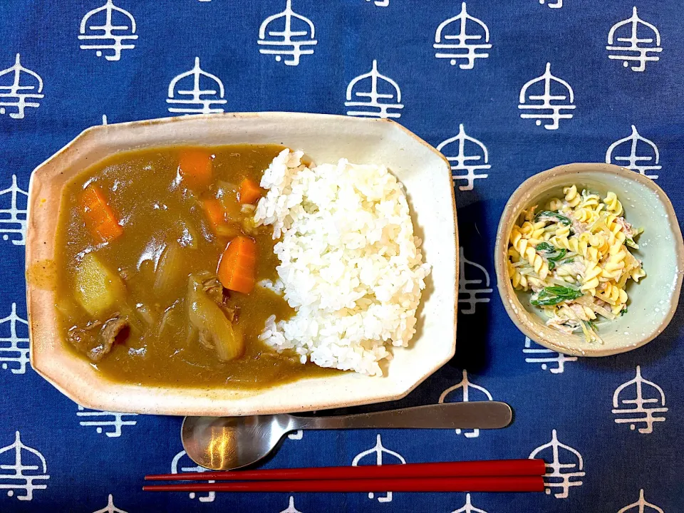 カレー　2日目|ハラダメシさん