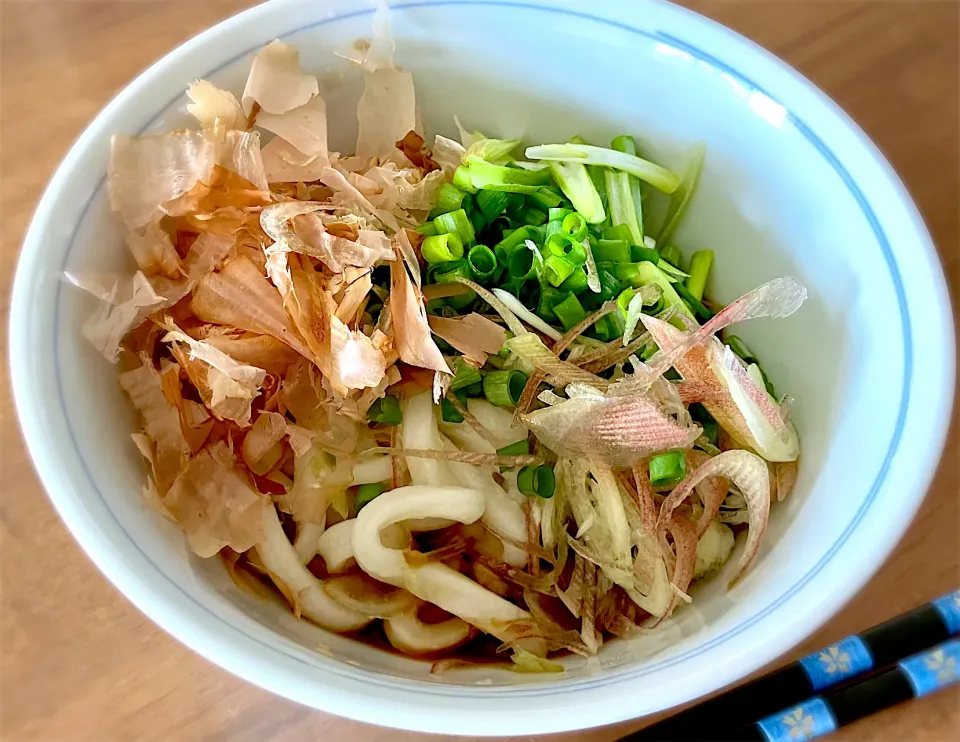 Snapdishの料理写真:冷凍讃岐うどんをつかった“ジェネリック伊勢うどん”  柔らかい食感とたまり醤油仕立てのタレが美味しい  讃岐うどん界隈に怒られそうな“茹で時間20分”|リフルシャッフルさん