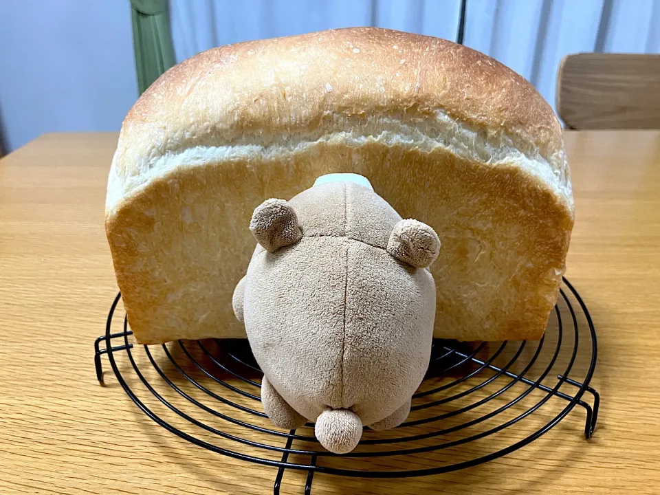 ＊絵本「はんぶんあげてね」のような山食パン🍞＊|＊抹茶＊さん