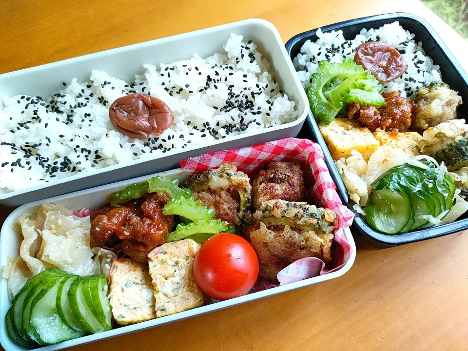 Snapdishの料理写真:次男・私弁当|tamagomagomagoさん