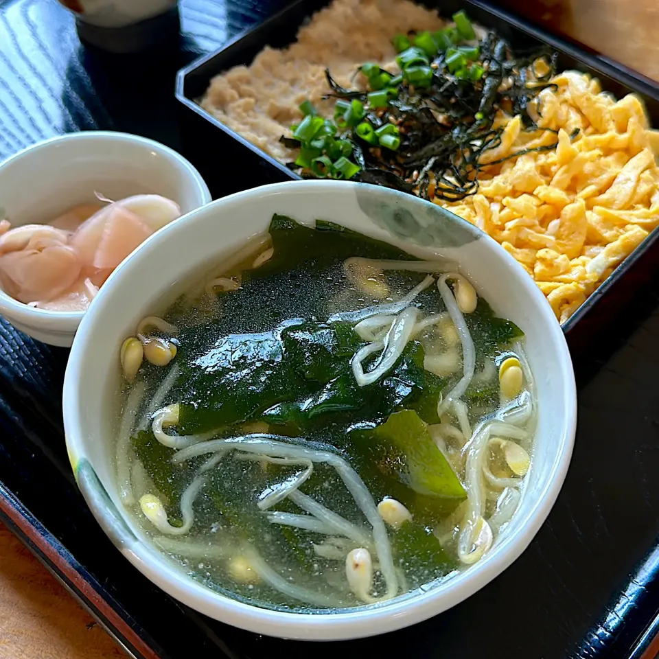 Snapdishの料理写真:モヤシとわかめのスープに鶏そぼろ弁当|くまちゃんさん