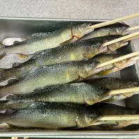 お盆  家族でバーベキュー  肉も魚も美味しかった  鮎は塩  これは手作りに入るのか？|ランさん