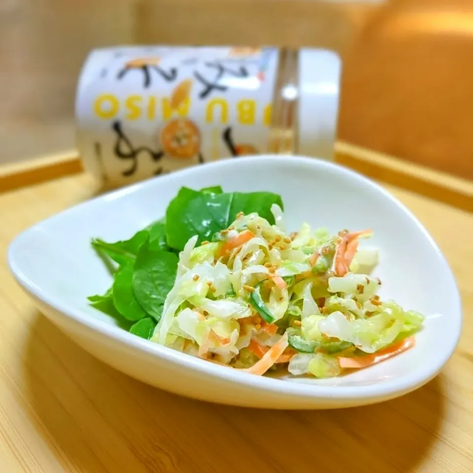 【つぶみそ×ヨーグルト】
腸活ドレッシングでコールスロー

お野菜をたっぷり食べられる✨

洋食屋さん顔負けのフレンチドレッシングができました🎶

ヨーグルト入りのフレンチドレッシングにつぶみそを加えることで酸っぱさが抑えられ、爽やかで丸みのある優しい味わいに☺

味噌󠄀とヨーグルト、2つの発酵食品をチャージでき、腸活中の方にもおすすめです☺

野菜だけではなく、お肉やお魚とも相性◎
いろんなアレンジを楽しめます💫|森のごはん屋さんさん