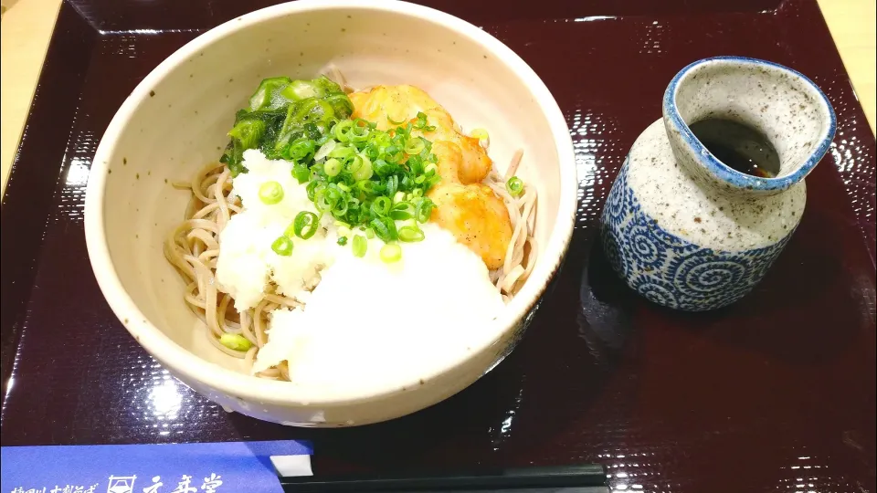 Snapdishの料理写真:8/22のお昼ごはん
元気もりもりぶっかけ蕎麦|卯月さん