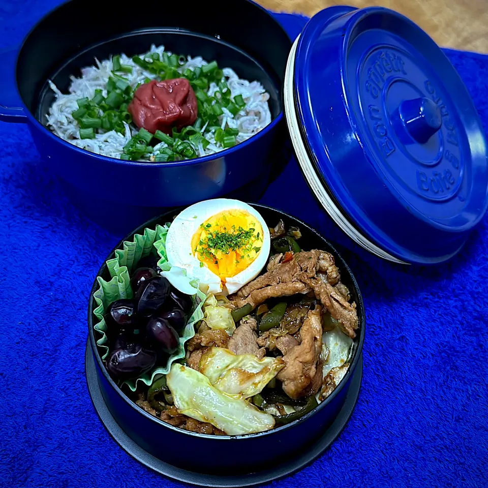 回鍋肉としらす丼ってどないやねん！な弁当|くまちゃんさん