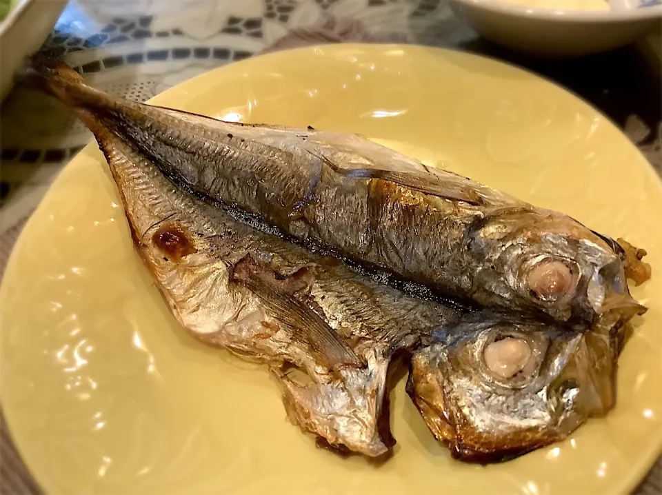 熱海の干物🐟😋|アライさんさん