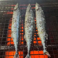 Snapdishの料理写真:秋刀魚塩焼き|Atsunobu Kuboさん