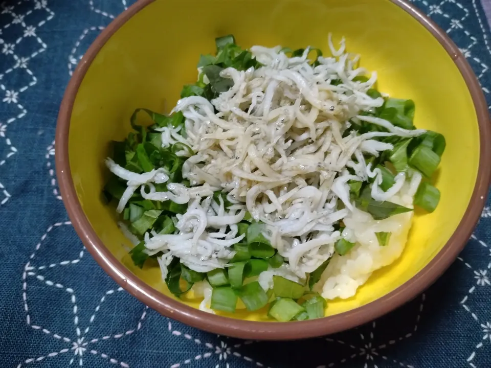 Snapdishの料理写真:しらす丼|よっちびやばんぶーさん