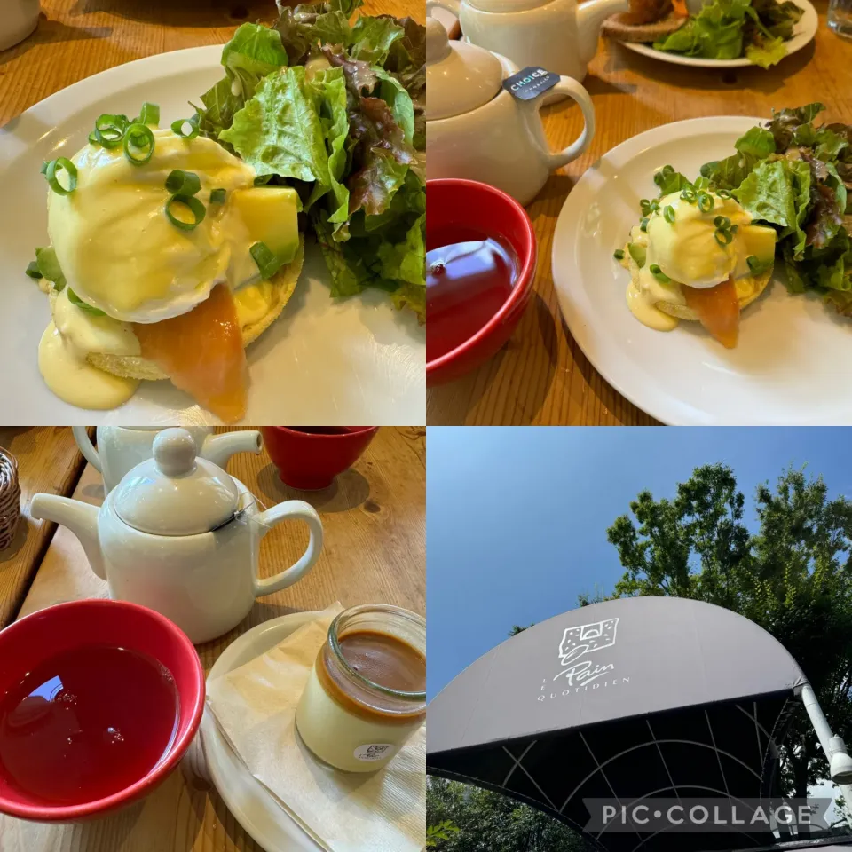 Snapdishの料理写真:朝食はエッグベネディクトwithサーモン、プリン、アールグレイを。@LE Pain QUOTIDIEN.東京プリンスにて。ここのプリンのカラメルが僕のナンバーワンです。美味しくいただきました。|sniper66さん