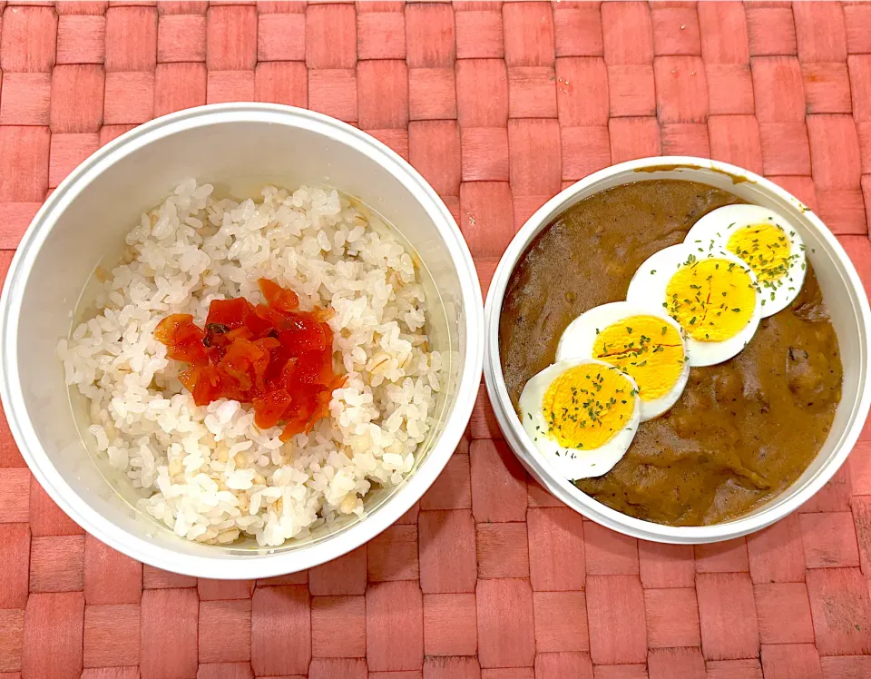 中学生息子のお弁当🍱 カレーライス弁当🍱|Snow10さん