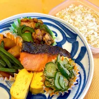 今日のお弁当♪|かっぴーさん