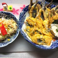 Snapdishの料理写真:鱧とイワシの天麩羅キャベツのコールスローサラダ😋|ひとみさん