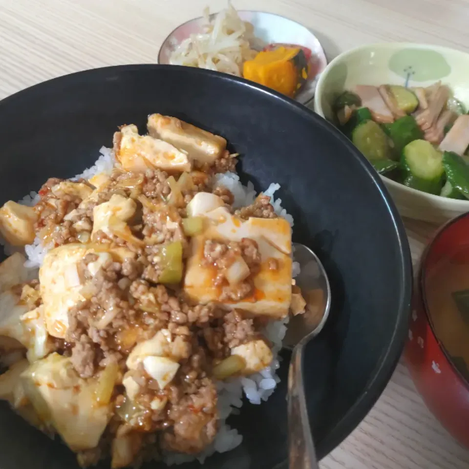 マーボー丼
ハムときゅうりの中華風炒め|ちゃいさん