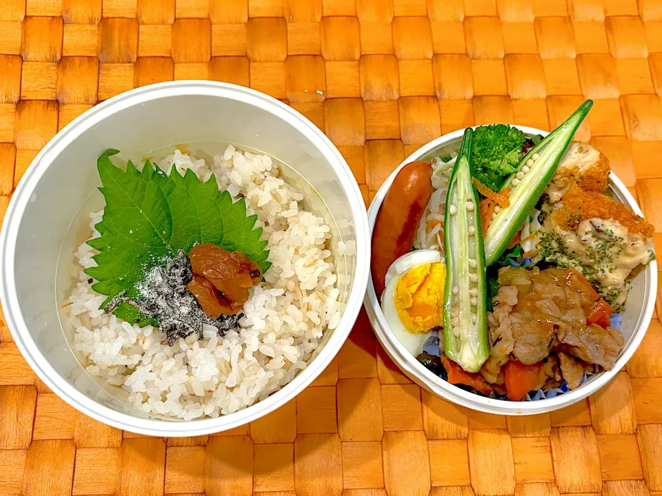 中学生息子のお弁当🍱 ポークチャップと白身魚フライ弁当🍱|Snow10さん