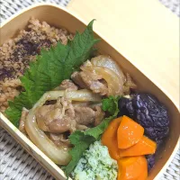 Snapdishの料理写真:豚の生姜焼き弁当|Tomokoさん