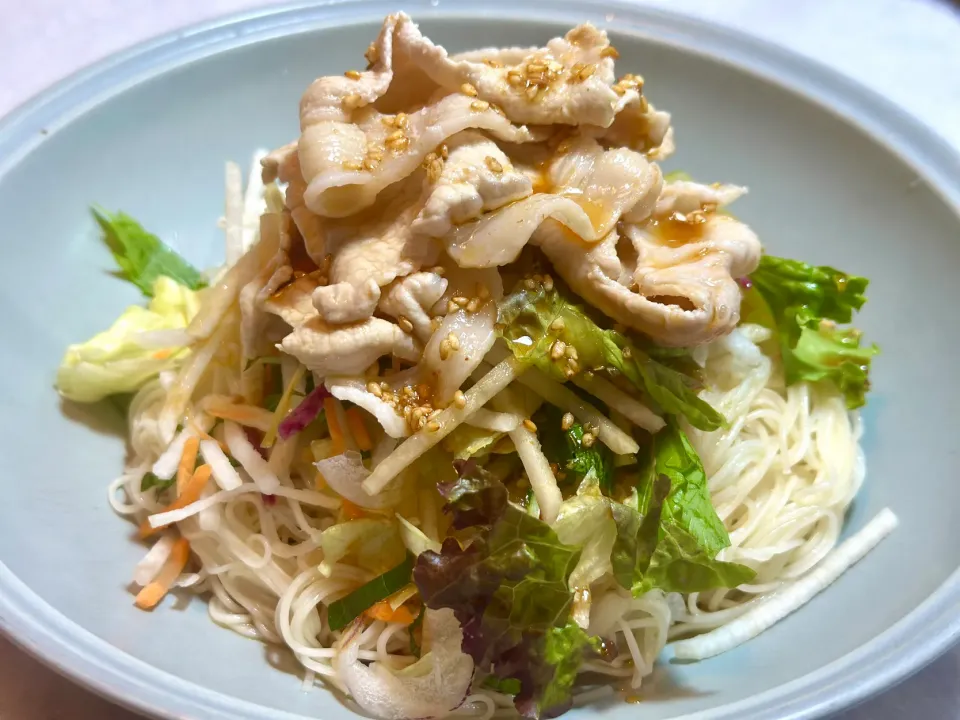 Snapdishの料理写真:豚しゃぶ素麺🥢|HALさん