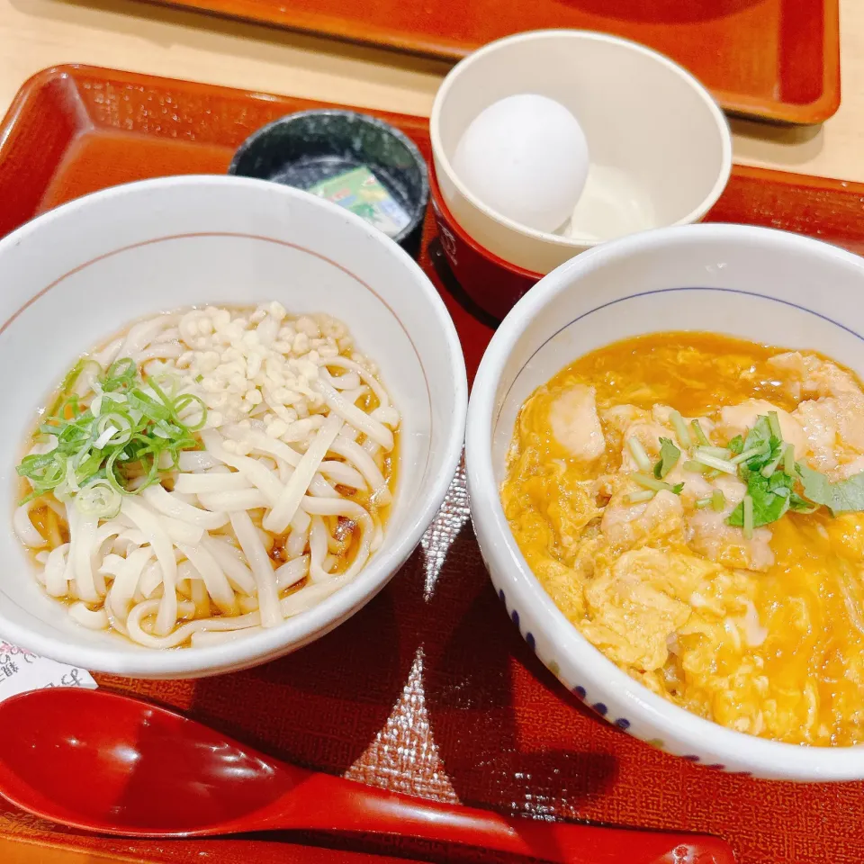 晩ご飯|まめさん