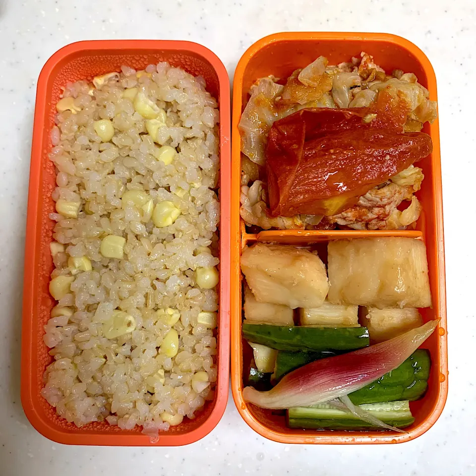 今日のお弁当|Victoryageさん