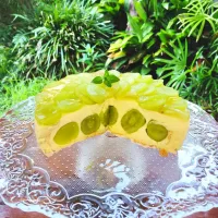 シャインマスカットのレアチーズケーキ断面