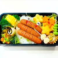 Snapdishの料理写真:ウインナーくん弁当| ピカピさん