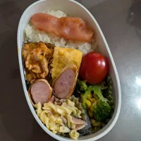 Snapdishの料理写真:お弁当|なおさん