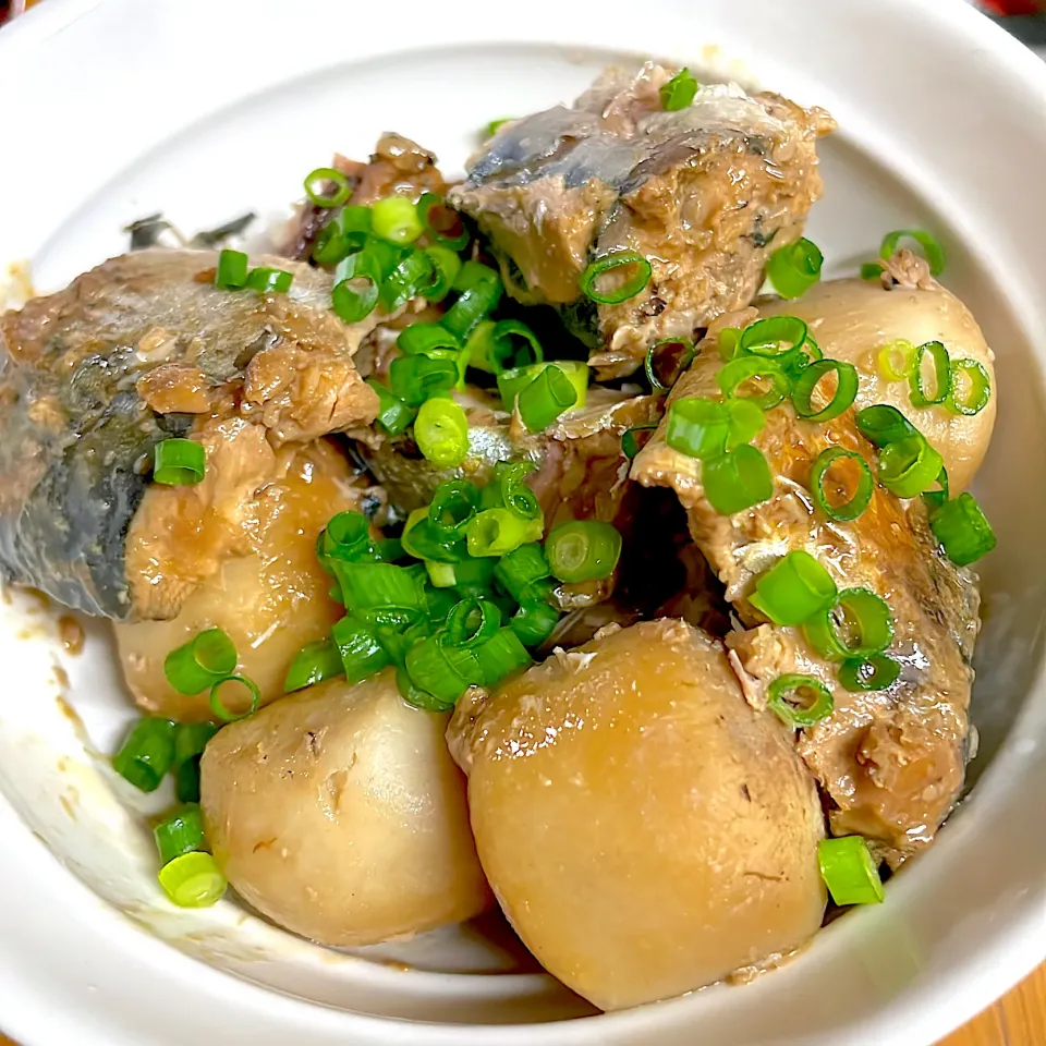 鯖の水煮と里芋の煮物|juneさん