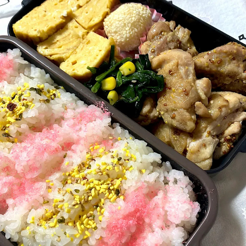 Snapdishの料理写真:9／3弟も弁当|アブドゥルさん