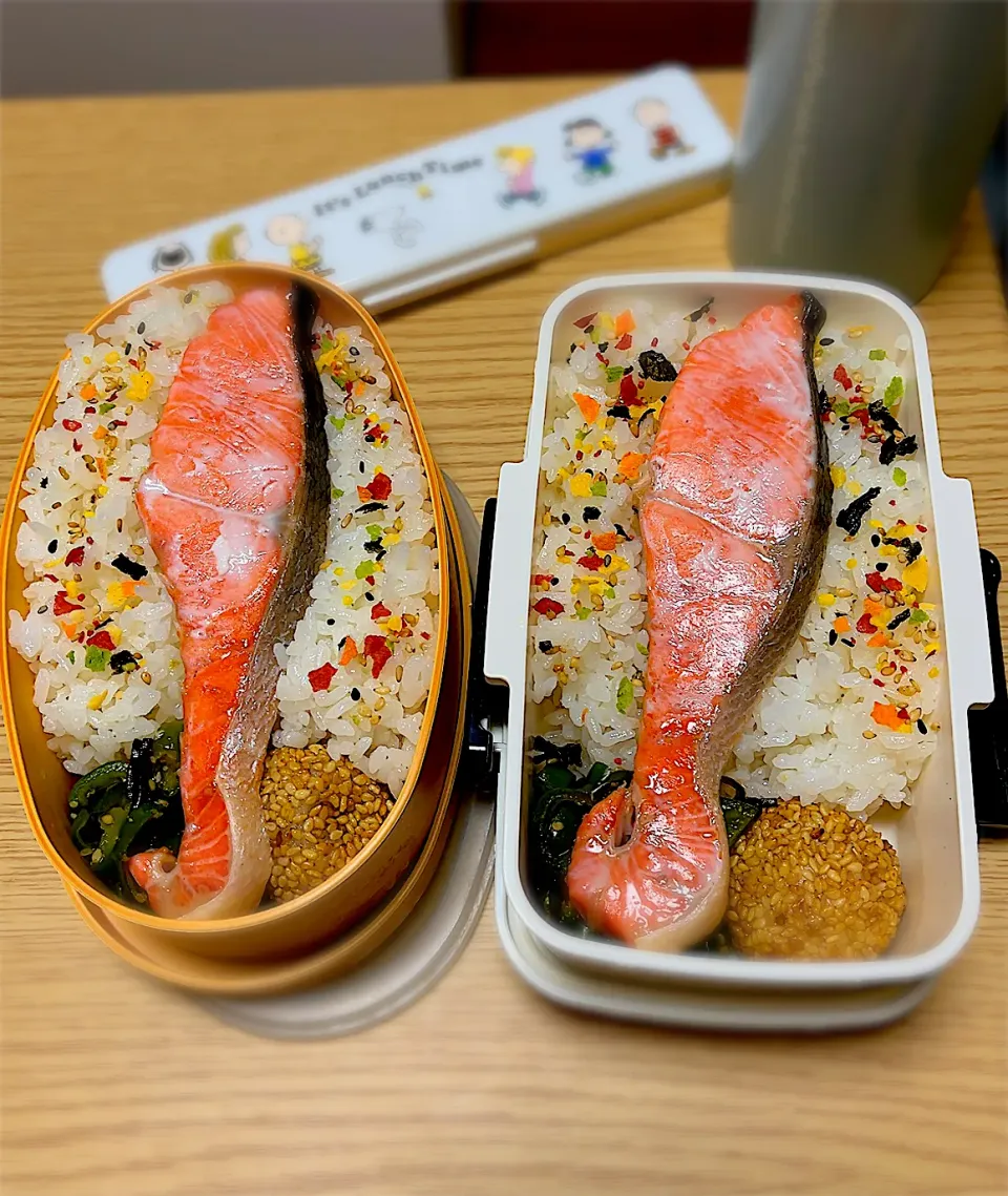 Snapdishの料理写真:2024.9.3  お弁当|もっさんさん