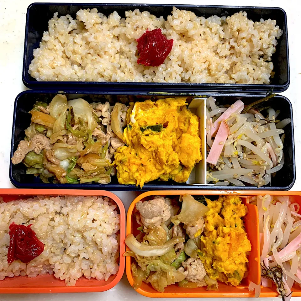 今日のお弁当|Victoryageさん