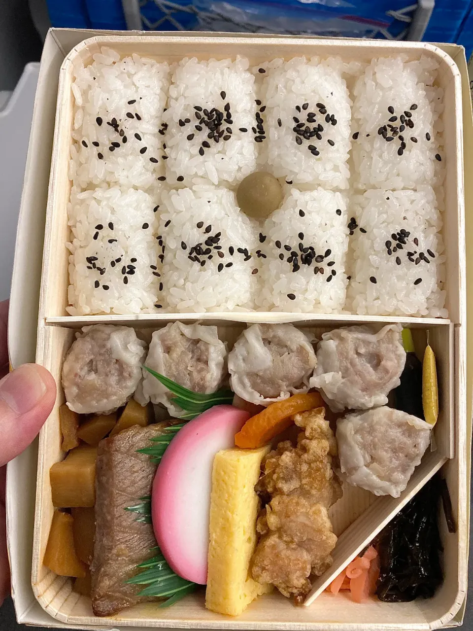 崎陽軒シウマイ弁当🍱|Kojiさん