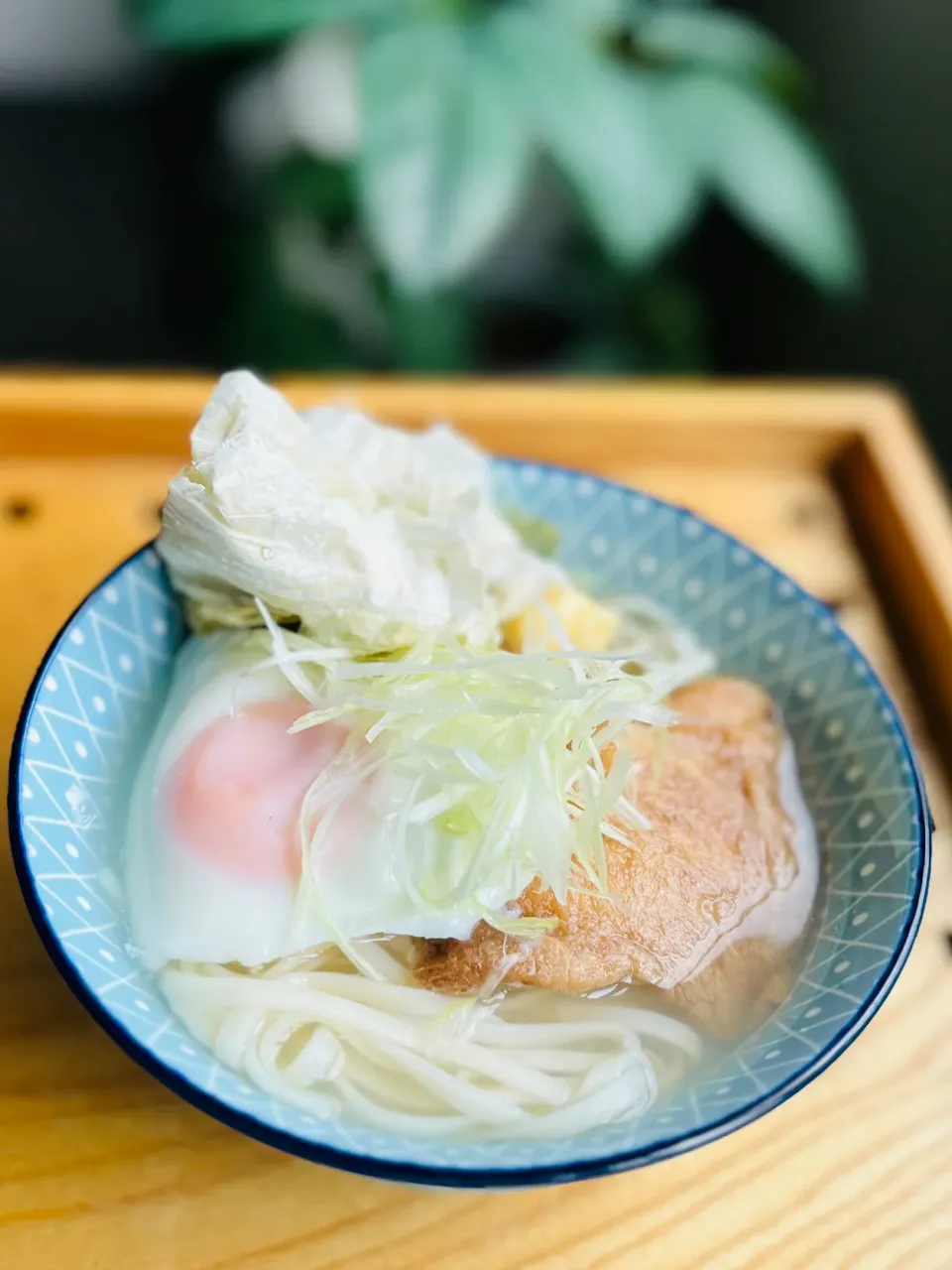 Snapdishの料理写真:あごだしうどん🐟➰🌊Udon Noodles w/ Flying Fish Soup|アッコちゃん✨さん