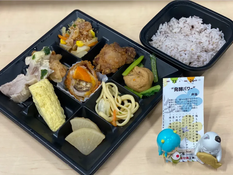 発酵パワー弁当🍱|おやぢさん