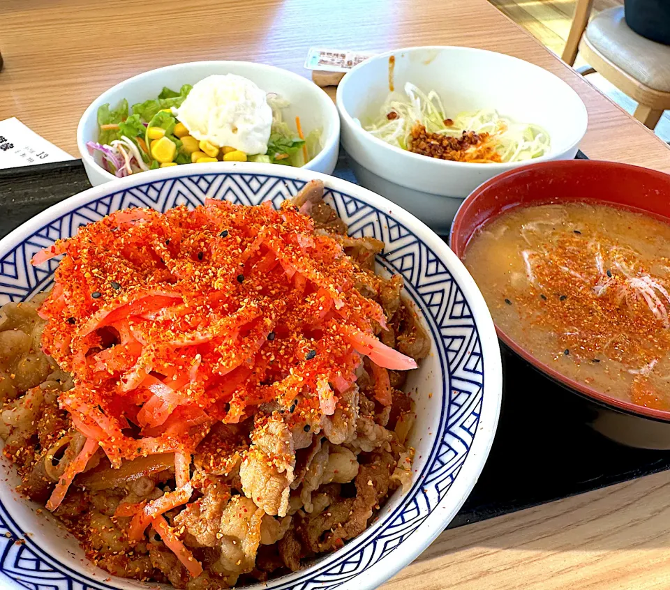 ねぎラー油牛丼アタマの大盛、ポテトサラダ豚汁セット|buhizouさん