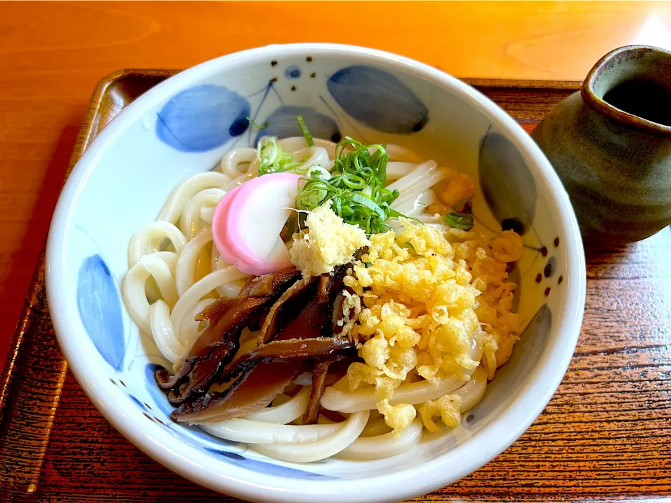 今日のランチは、冷やしたぬきうどん|yokoさん